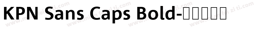 KPN Sans Caps Bold字体转换